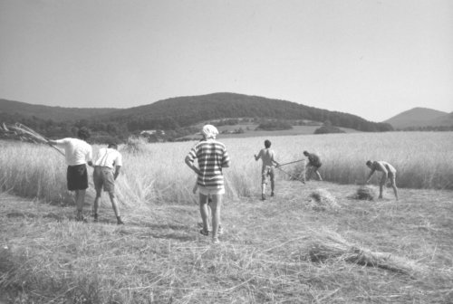 zajezova2.jpg - 30877 Bytes